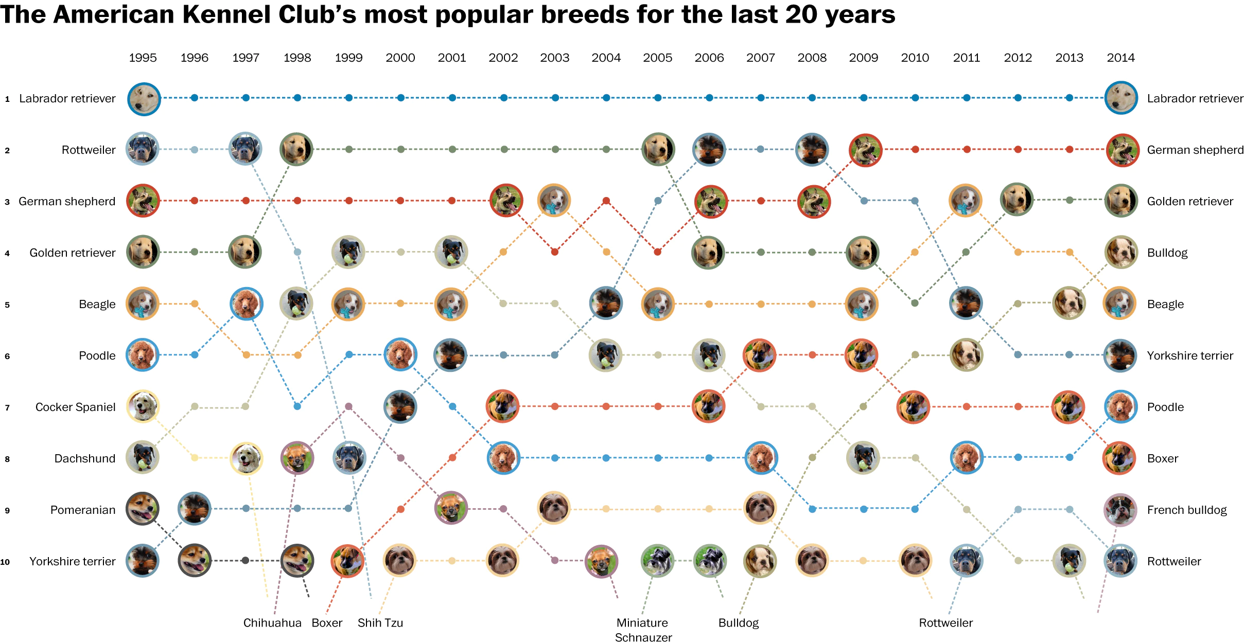 Article published by Philip Bump in The Washington Post: https://www.washingtonpost.com/news/wonk/wp/2015/02/27/americas-favorite-dog-breeds-for-the-past-two-decades-ranked/